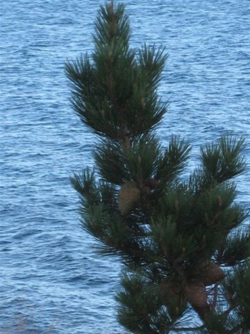 IMG_0544.JPG