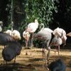 IMG_0037.JPG