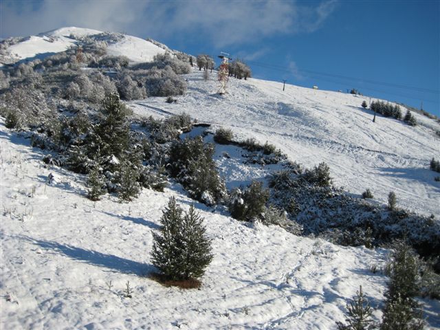 IMG_0341.JPG