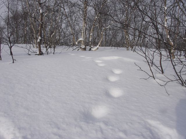 DSC04300.JPG