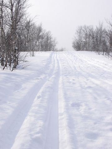 Снежная дорога