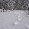 DSC04300.JPG