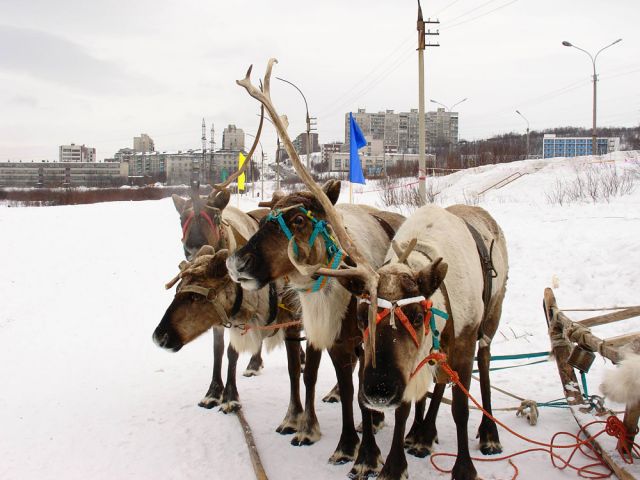 DSC04532.JPG