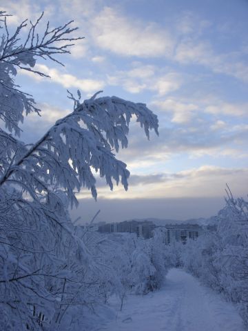 DSC07265.JPG