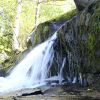 DSC06440.JPG