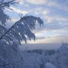 DSC07265.JPG