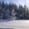 DSC07988.JPG