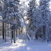 DSC07973.JPG