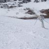 Ledy in white №2