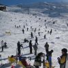 IMG_1163.jpg
