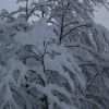 IMG_1035.jpg
