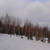 Зузанна-2  -- не отстает от Зузанны-1