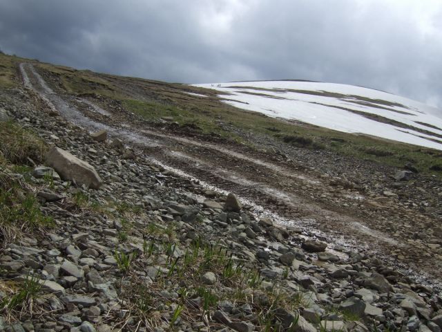 DSCF5397.jpg