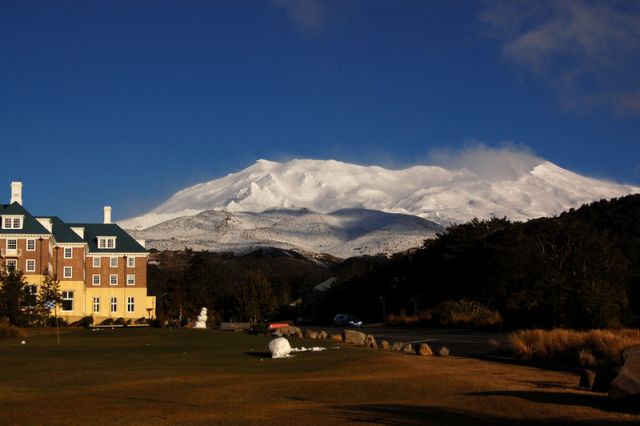 NZ227.jpg