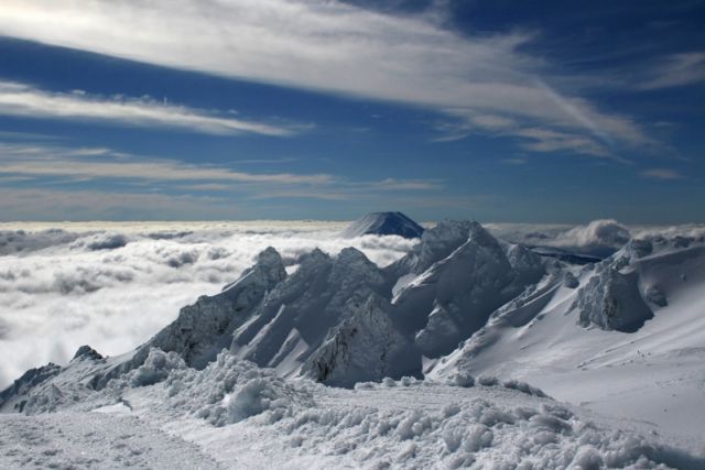 NZ285.jpg