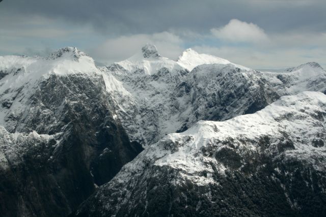 NZ463.jpg