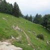 IMG_0824.JPG