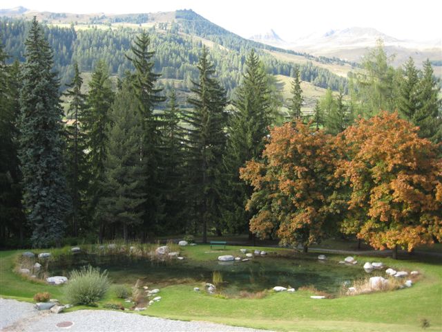 IMG_1333.JPG
