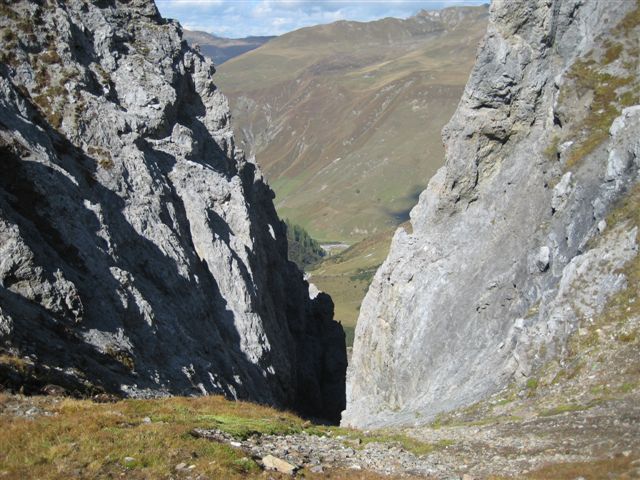 IMG_1412.JPG