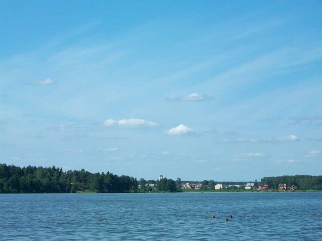 w9.jpg