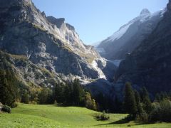 gallery_6791_488_40755.jpg
