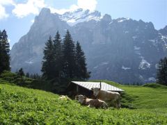 gallery_6791_852_43711.jpg