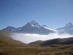 gallery_6791_489_11715.jpg