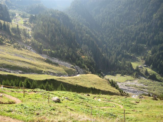 IMG_0916.JPG