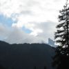 IMG_0921.JPG
