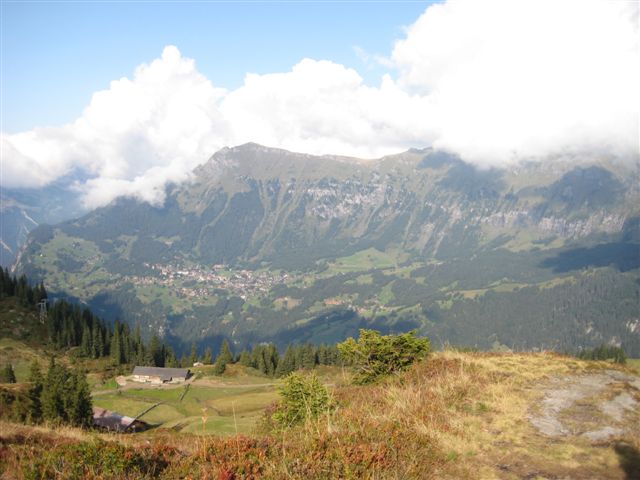IMG_0985.JPG