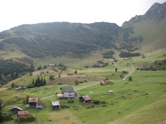 IMG_0981.JPG