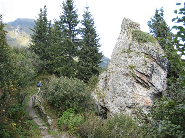 IMG_0975.JPG