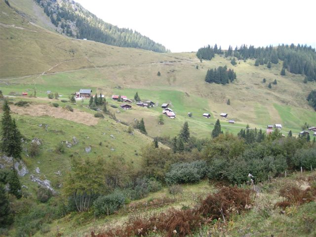 IMG_0979.JPG