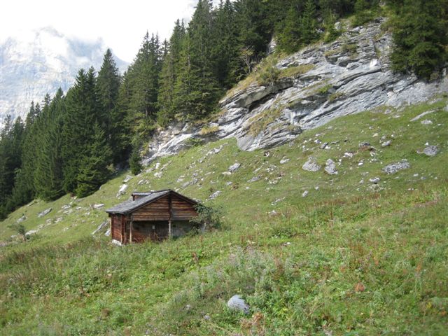 IMG_0944.JPG