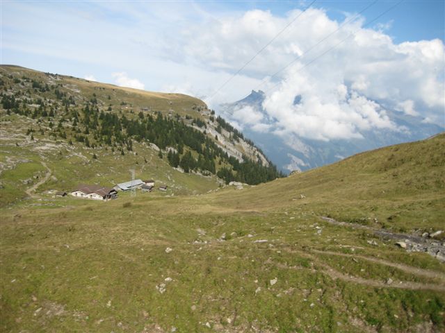 IMG_1077.JPG