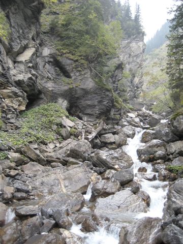 IMG_1107.JPG
