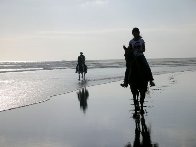 DSCN0825.jpg