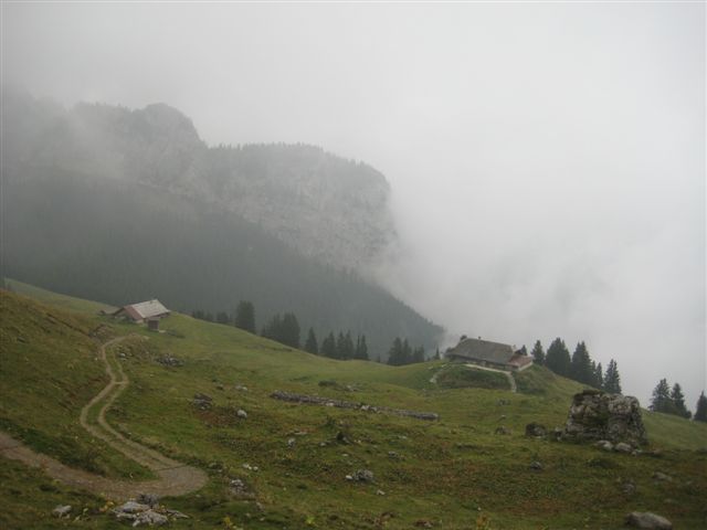 IMG_1129.JPG