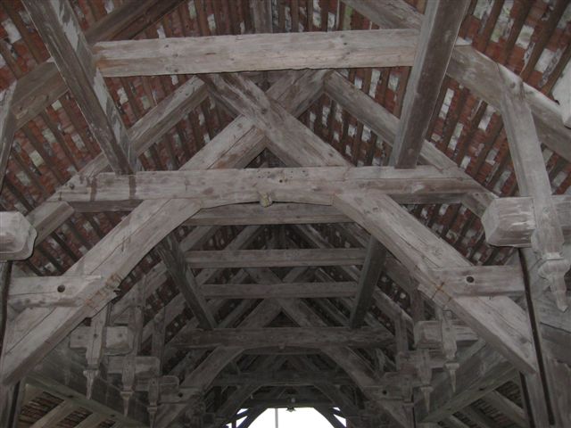 IMG_1145.JPG