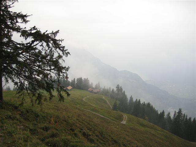 IMG_1135.JPG