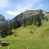 IMG_1021.JPG