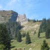 IMG_1020.JPG