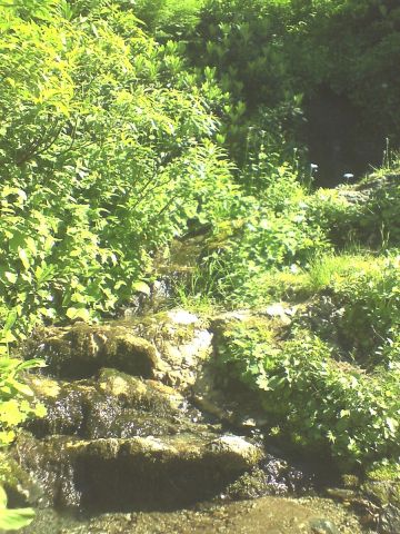 img427.jpg