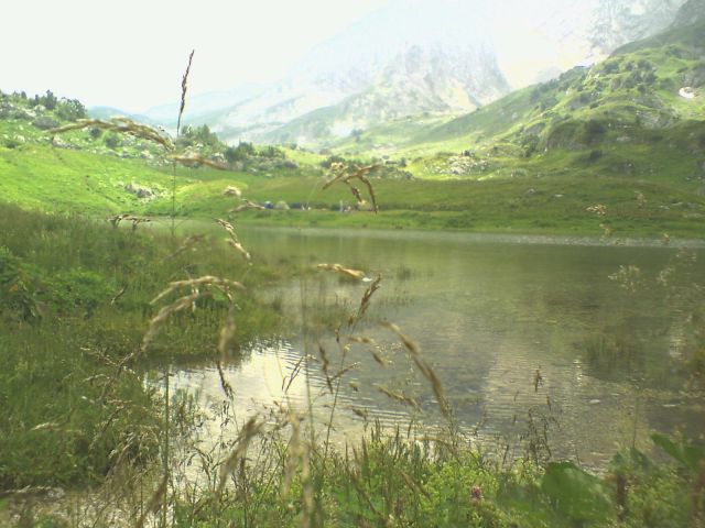 лужа