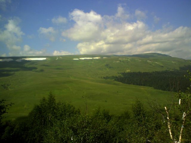 снехх