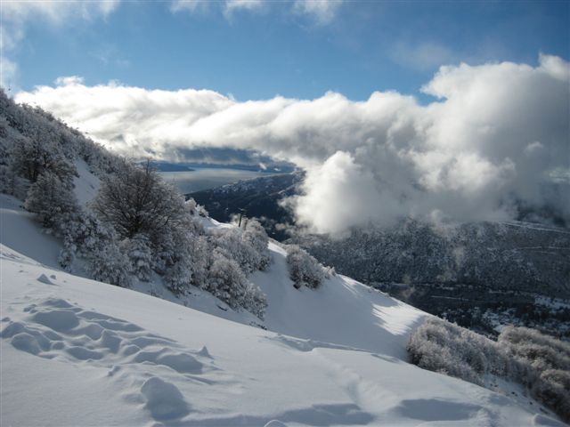 Катедральная Целина.