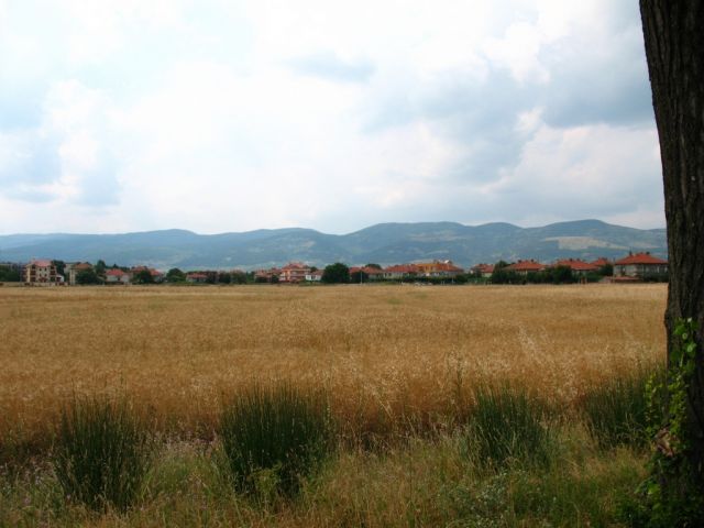 Равнина, поля