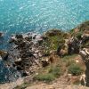 Спуск к морю с обрыва