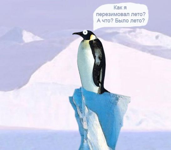 пингвин