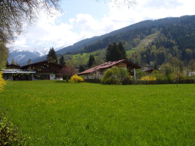 ST831116.JPG